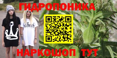 прущие крисы Гагарин